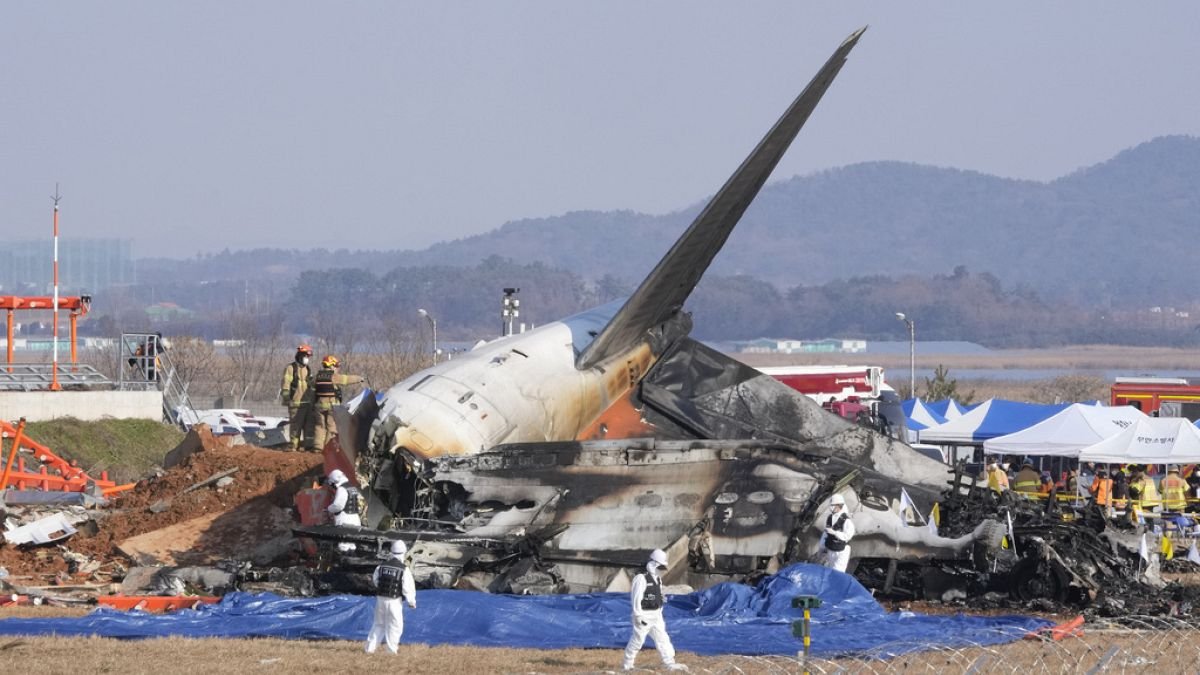 Vídeo. VÍDEO: Corea del Sur rinde homenaje a las víctimas del accidente aéreo Vídeo. VÍDEO: Corea del Sur rinde homenaje a las víctimas del accidente aéreo