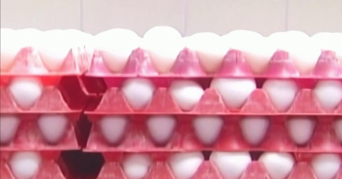 Alerta sanitaria por supuestos huevos contaminados de venta en Costco Alerta sanitaria por supuestos huevos contaminados de venta en Costco