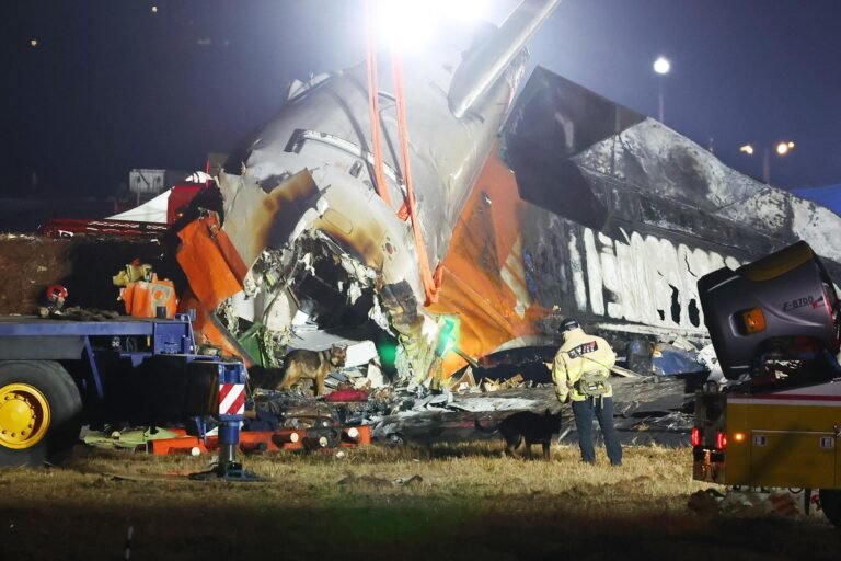 Qué ha provocado el accidente de avión en Corea del Sur de la aerolínea Jeju Air