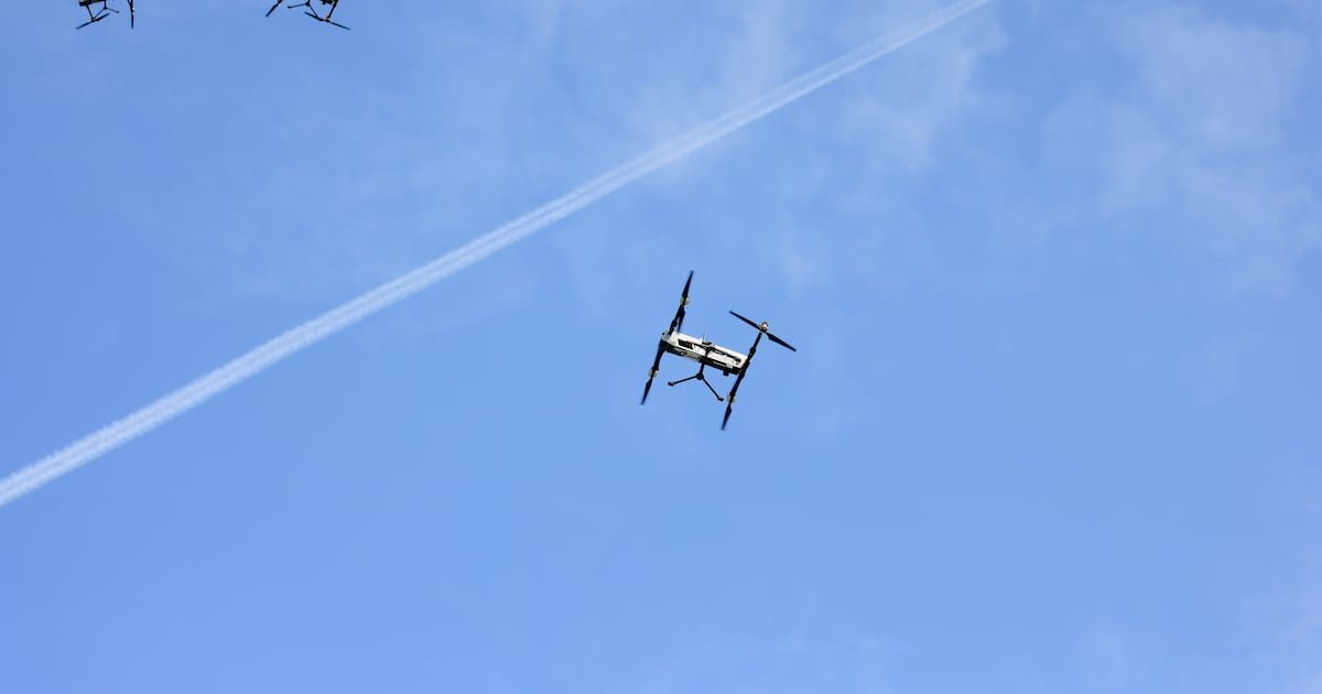 Esto sabemos sobre los avistamientos – El Financiero Esto sabemos sobre los avistamientos – El Financiero