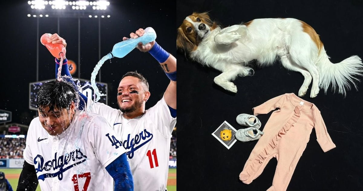 Ohtani anuncia que será padre por primera vez con conmovedora FOTO; ‘no puedo esperar al novato’ – Fox Sports Ohtani anuncia que será padre por primera vez con conmovedora FOTO; ‘no puedo esperar al novato’ – Fox Sports
