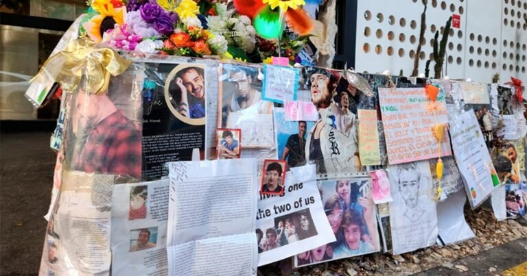 El reproche de la jueza por la muerte de Liam Payne: “Lo debido era dejarlo en un lugar seguro hasta que llegara un médico”