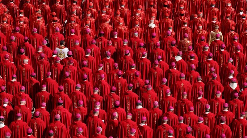 Encrucijada para los cardenales: algunos quieren continuar con las reformas de Francisco, otros quieren un papa diferente Encrucijada para los cardenales: algunos quieren continuar con las reformas de Francisco, otros quieren un papa diferente