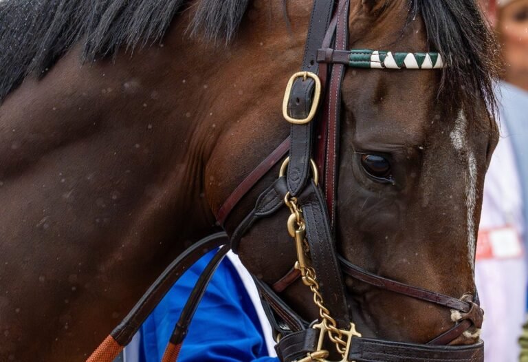 La soberanía supera nuevamente al periodismo y gana el Belmont Stakes