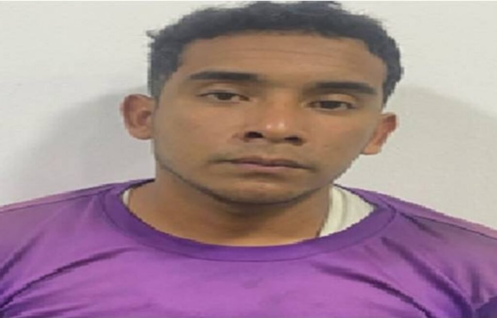 Detuvieron a un hombre que golpeó a su pareja y mató a su gata en Petare