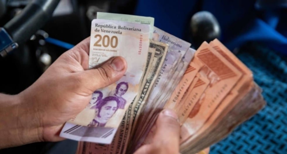 ¡Atención! Plataforma Patria pagará bono de 5.000 Bs en Venezuela: descubre si eres beneficiario | tdpe | RESPUESTAS ¡Atención! Plataforma Patria pagará bono de 5.000 Bs en Venezuela: descubre si eres beneficiario | tdpe | RESPUESTAS