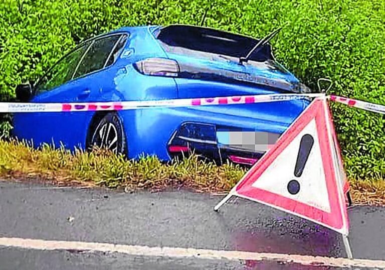 La Policía de Sopela multa a un gruista que se negó a auxiliar a un coche eléctrico