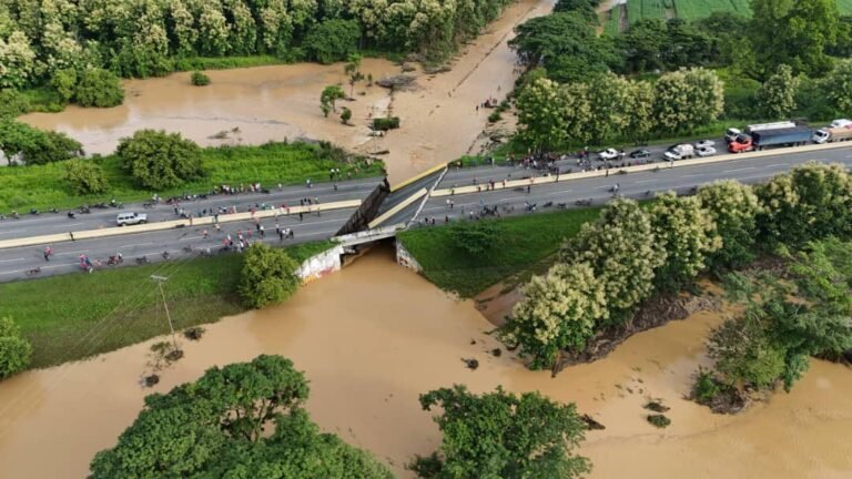 Se derrumbó puente en el estado Portuguesa (+video)